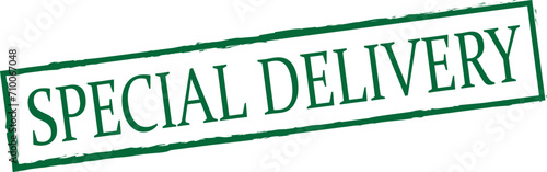 Special delivery  - rectangle rubber stamp