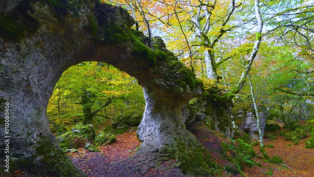Beech forest in autumn in the Labyrinth of Katarri in the Sierra de Entzia. Alava province. Basque Country, Spain, Europe. Alava. Basque Country. Spain. Europe Beech forest in autumn in the Labyrinth of Katarri in the Sierra de Entzia. Alava province. Basque Country, Spain, Europe. Alava. Basque Country. Spain. Europe