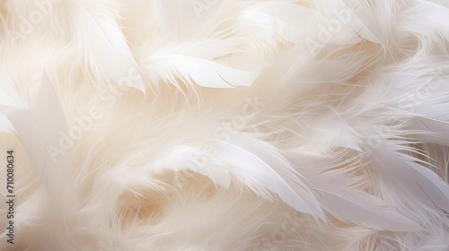 White fluffy airy gentle feathers on a light background