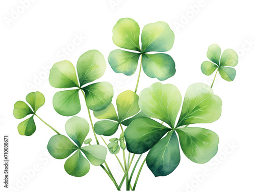 Watercolor green lucky shamrock leaves on white background, Saint Patrick Day background