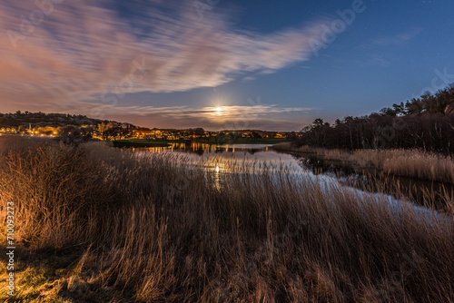 Long exposure night photo of a pond and reeds. Partly cloudy and moon..