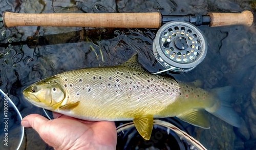 Fly Fishing Rainbow Brown Trout