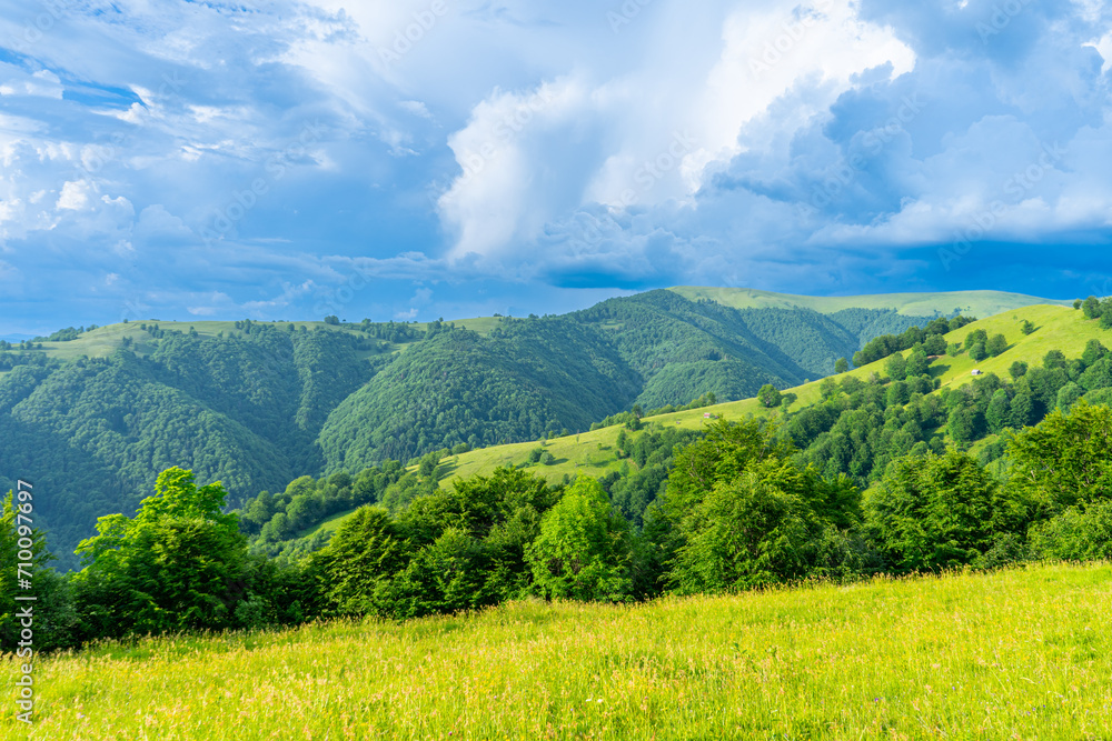 Obraz premium Carpathians mountains landscapes from green meadow on sunset, Apetska mountain, Ukraine