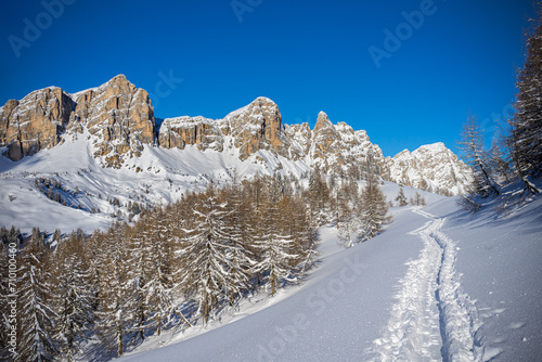Wallpaper Mural Domiti paesaggio innevato Torontodigital.ca