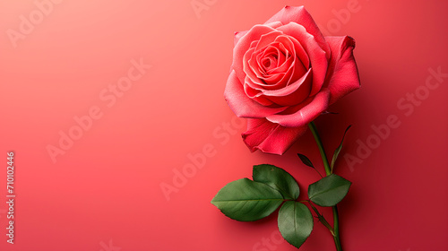 Bouquet of red rose flowers on pastel background. Greeting card for valentine's day. Copy space, top view.