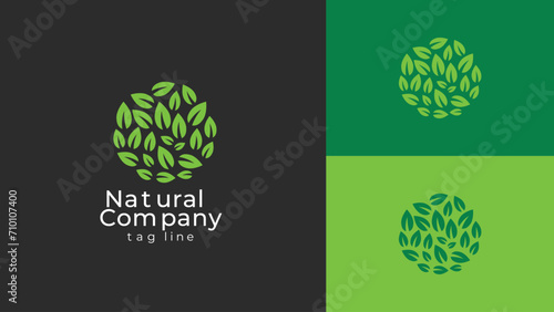 Green Leaf minimal logo template. natural company logo design.
