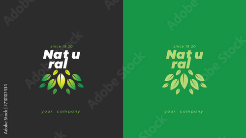 natural logo icon template design.  Bio, Ecology, Organic Logos and Badges, Label., bio and healthy food. 