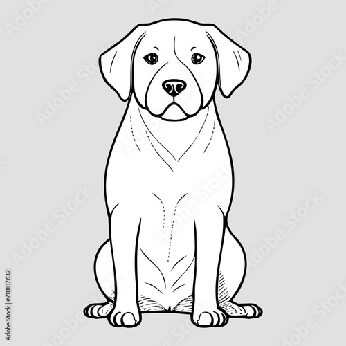 Cute dog vector black and white cartoon character design collection. White background. Pets  Animals.