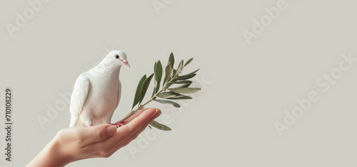 White dove with an olive branch, symbol of peace. photo