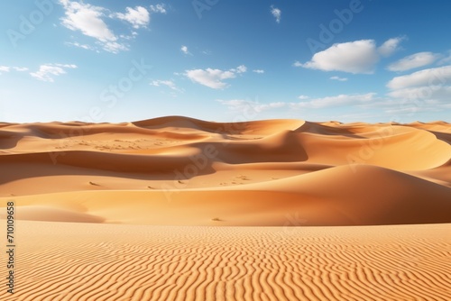 Empty Quarter Desert Dunes at Liwa Abu Dhabi United Arab Emirates