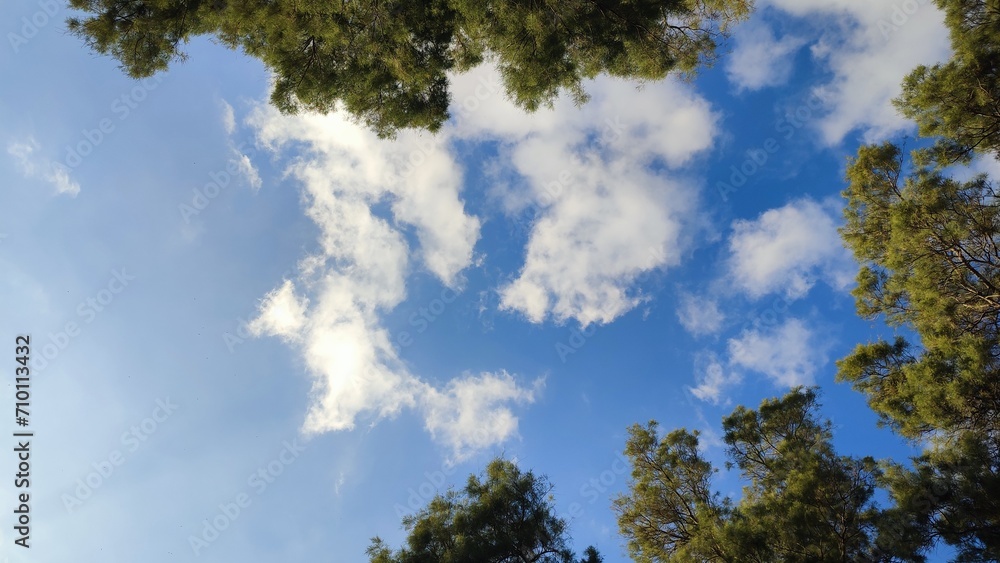 Obraz premium clouds and sky