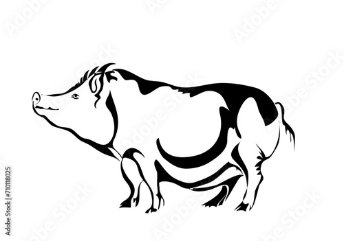 silhouette of pig