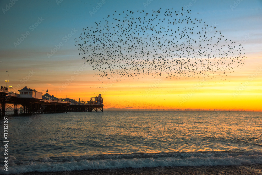 Φωτογραφία The Starling Murmuration over Brighton Pier at Dusk