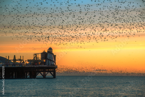 The Starling Murmuration over Brighton Pier at Dusk