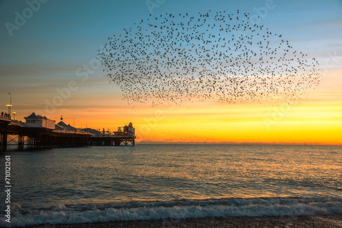 Принти на полотні The Starling Murmuration over Brighton Pier at Dusk