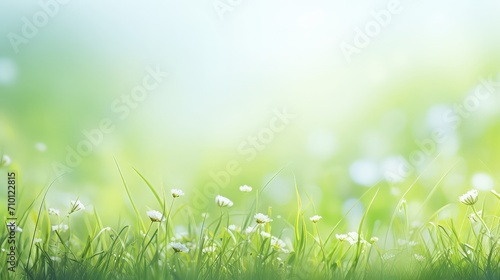 Abstract art of spring background or summer background with fresh grass and white flowers. Natural colorful panoramic landscape, beautiful bokeh, natural tones