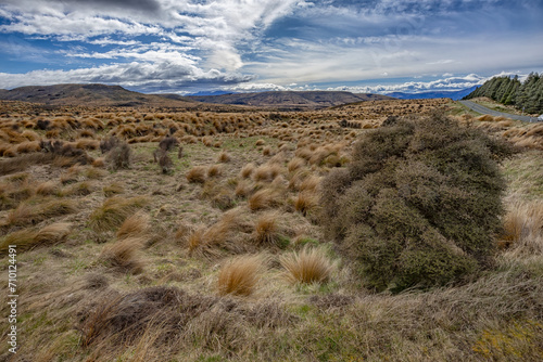 NZ landscape 