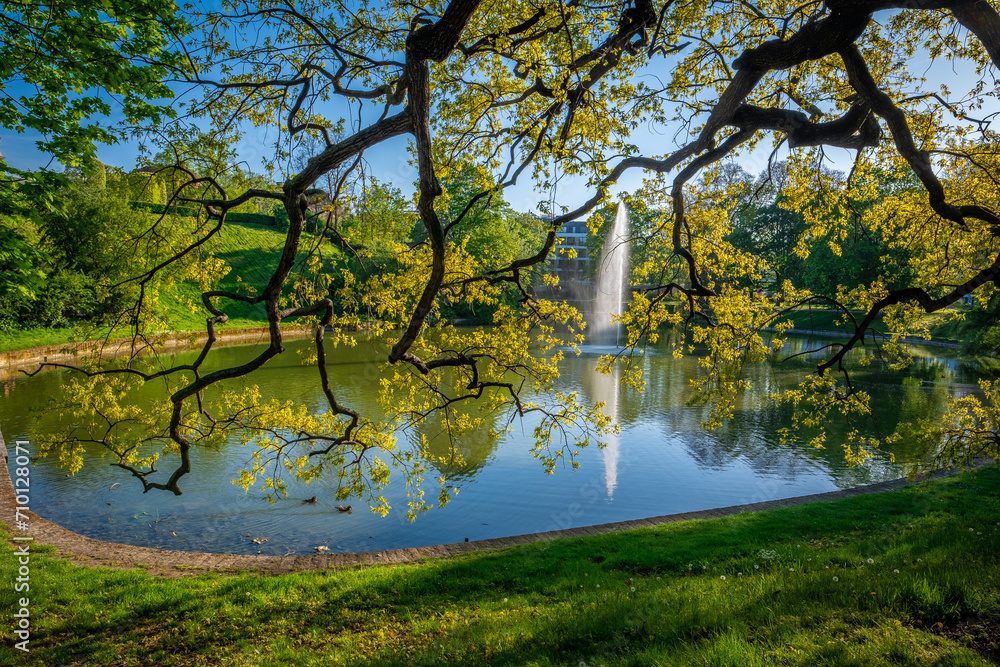 Fototapeta premium Waterspout fountain and lake in spring Dresden, Germany