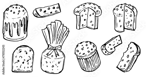 Vector ink set panettone traditional Italian cake for holidays celebration Christmas, Easter 