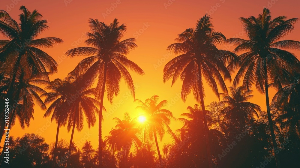 Palm trees are silhouetted against the setting sun. Perfect for tropical and beach-themed designs