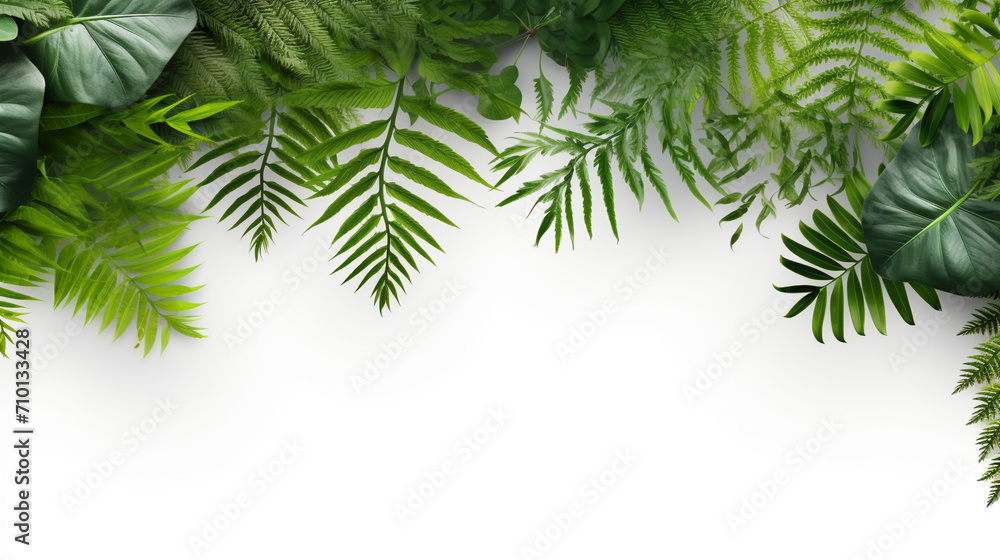 Beautiful composition with fern and other tropical leaves on white background. AI Generative. Beautiful composition with fern and other tropical leaves on white background. AI Generative.