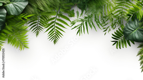 Beautiful composition with fern and other tropical leaves on white background. AI Generative.