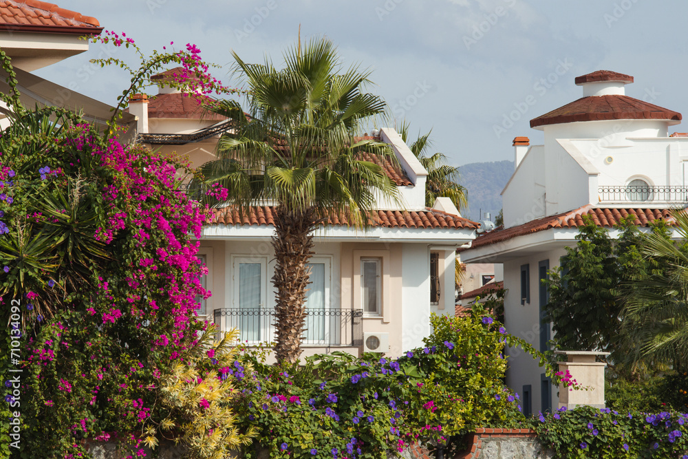 Fototapeta premium Idyllic holiday houses in the small Turkish village with palm trees and bougainvillea