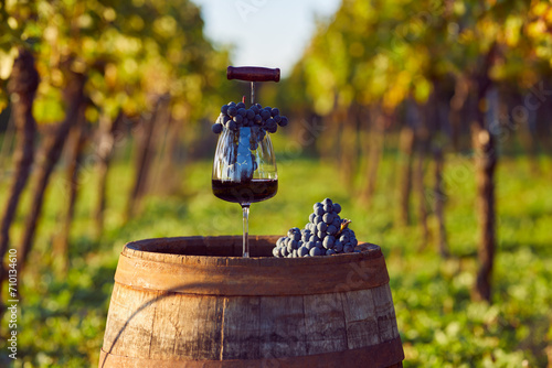 A glass of red wine on a barrel with blue grapes and a corkscrew in the vineyard