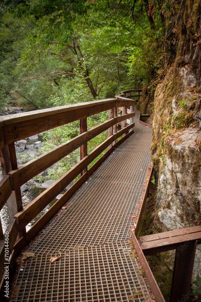 Catwalk along the Sweet Creek Falls Trail Catwalk along the Sweet Creek Falls Trail