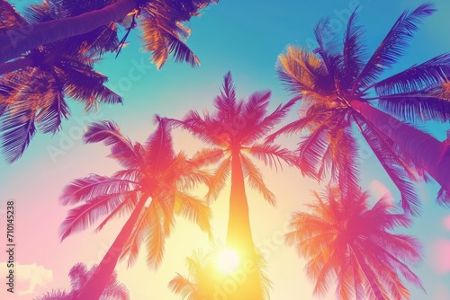 A picturesque view of a group of palm trees with the sun shining in the background. Perfect for tropical-themed designs and vacation advertisements © Fotograf