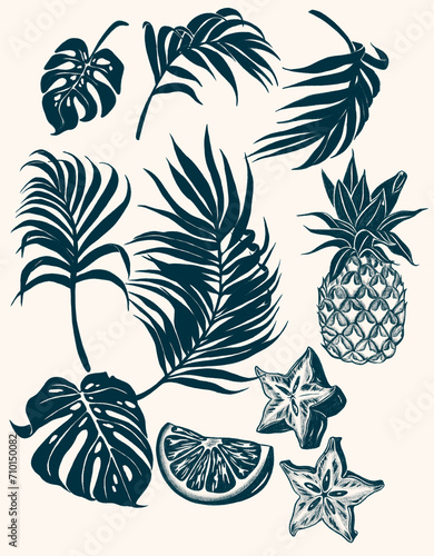Tropical fruits and leaves drawing (ID: 710150082)