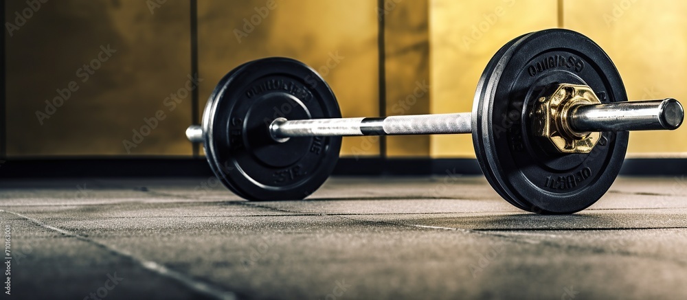 barbells are located on the floor, gym, fitness room