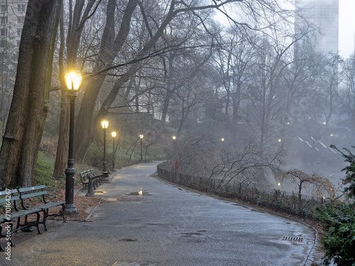 Central Park in winter   Foggy Morning