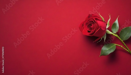 Foto Single red rose on warm velvet background, shadowed on the corners, for valentin