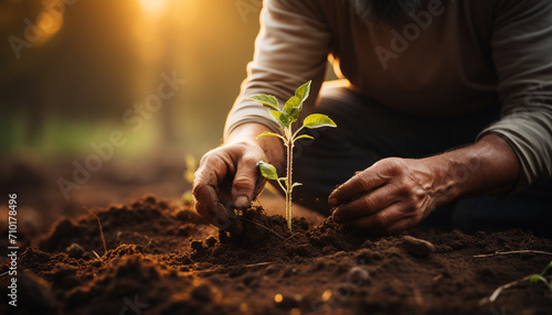 Man planting seedling, nurturing new life in nature generated by AI