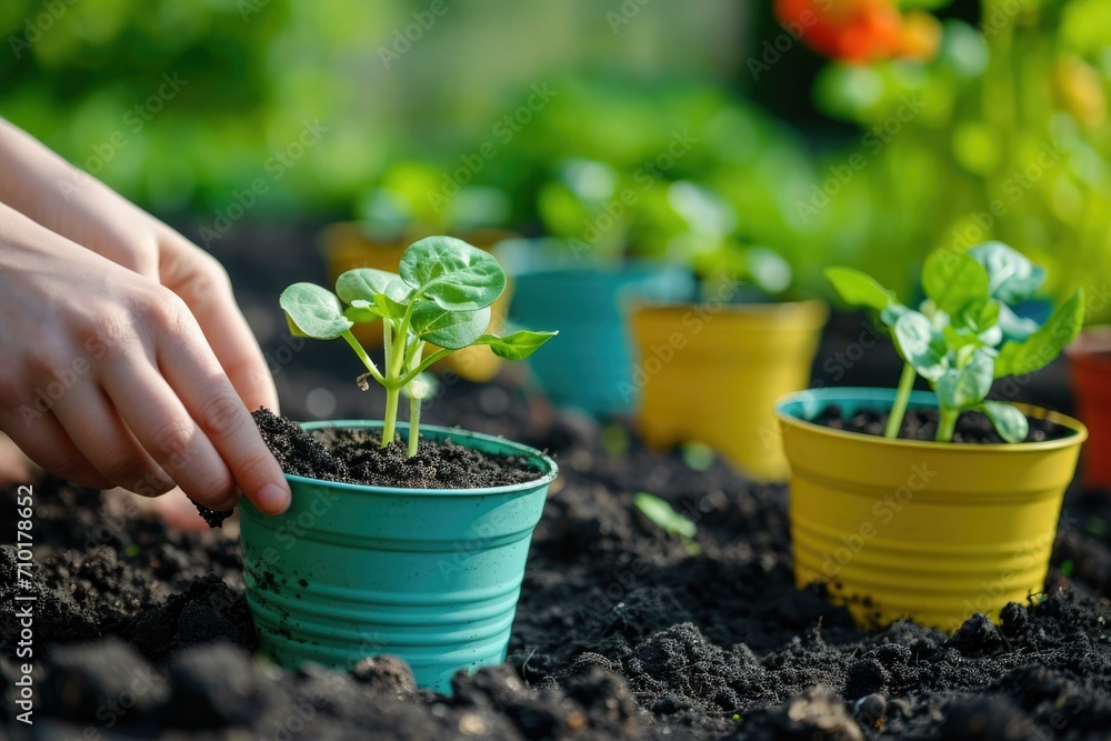 Gardening Hands Planting Seedlings, Sustainable Living Concept Gardening Hands Planting Seedlings, Sustainable Living Concept