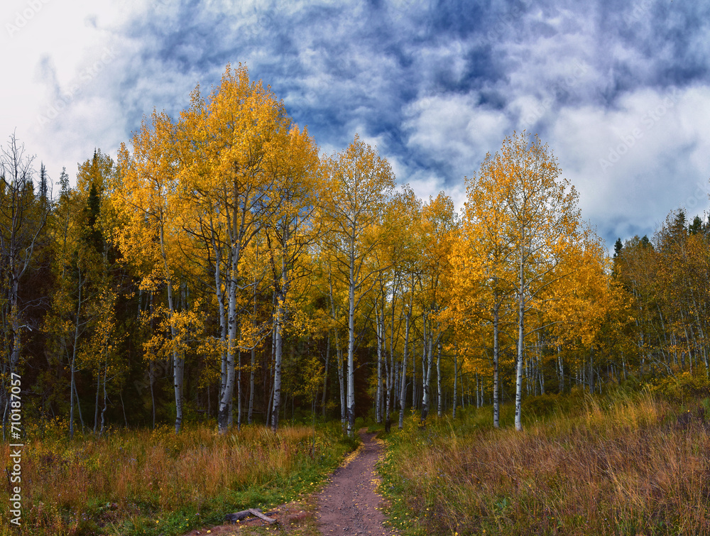 Fototapeta premium Timpanogos back Willow Hollow Ridge, Pine Hollow Trail hiking trail view Wasatch Rocky Mountains, Utah.