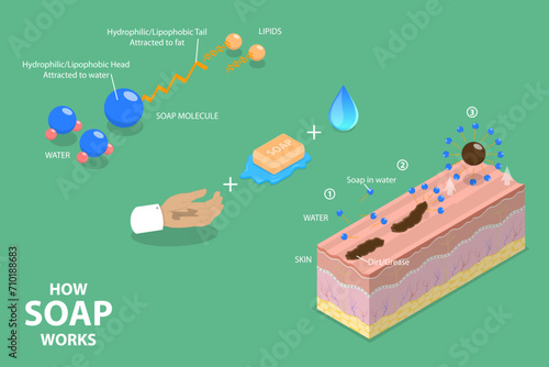 3D Isometric Flat Vector Illustration of How Soap Works, Healthcare and Hygiene Basics