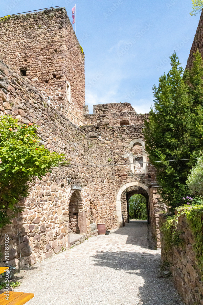 Vineyard and view into Blozano Castle Hocheppan the medieval castles of South Tyrol