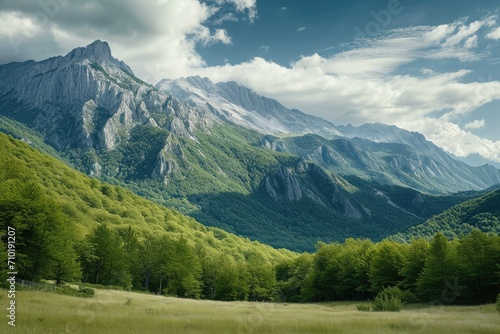 beautiful scenery of mountains, green trees and sky