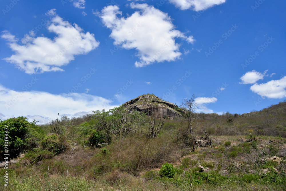 pine tree on the top of mountain, pine tree in the mountains, park in the morning, tree in the park,landscape with trees and sky, landscape with trees and clouds, landscape with trees pine tree on the top of mountain, pine tree in the mountains, park in the morning, tree in the park,landscape with trees and sky, landscape with trees and clouds, landscape with trees
