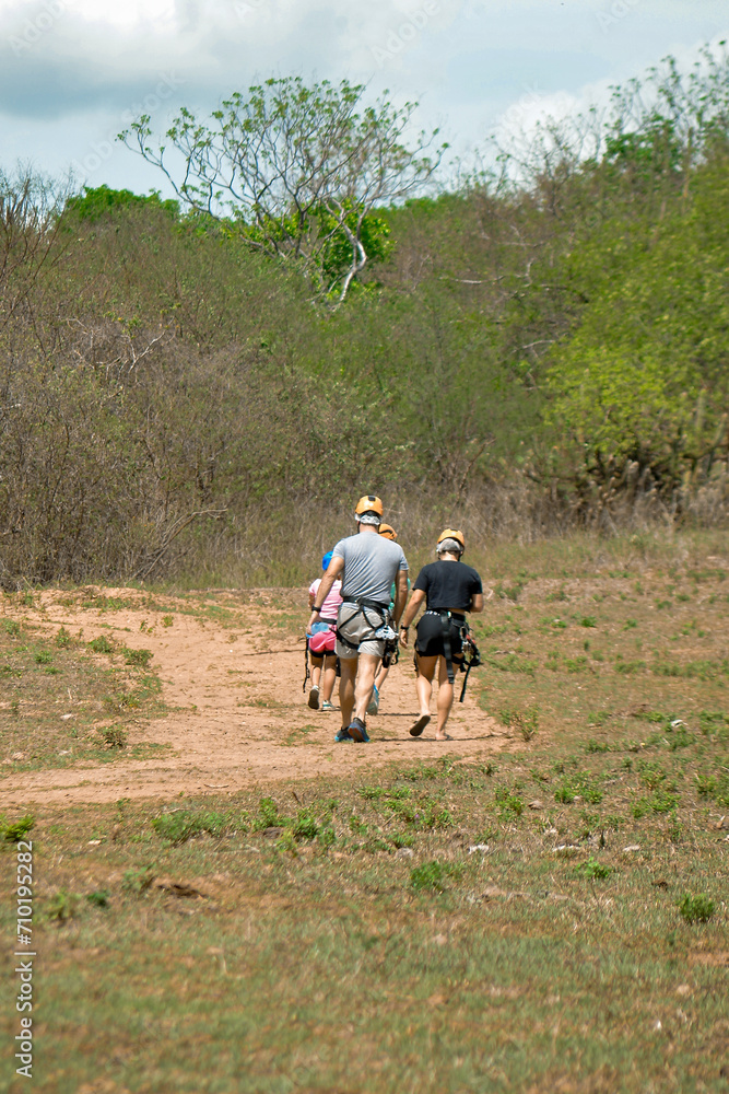 Fototapeta premium hikers on the trail, rural landscape, tree in the field, tree in the caatinga, caatinga, group on the trail, adventure sport