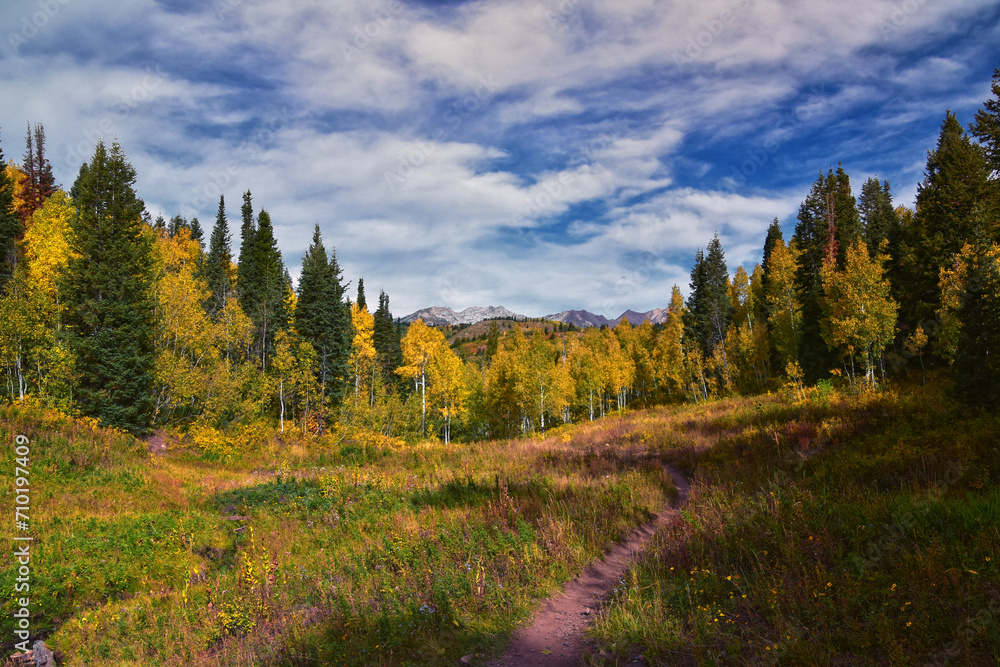 Timpanogos back panoramic views, Willow Hollow Ridge, Pine Hollow Trail hiking trail Wasatch Rocky Mountains, Utah. United States. Timpanogos back panoramic views, Willow Hollow Ridge, Pine Hollow Trail hiking trail Wasatch Rocky Mountains, Utah. United States.