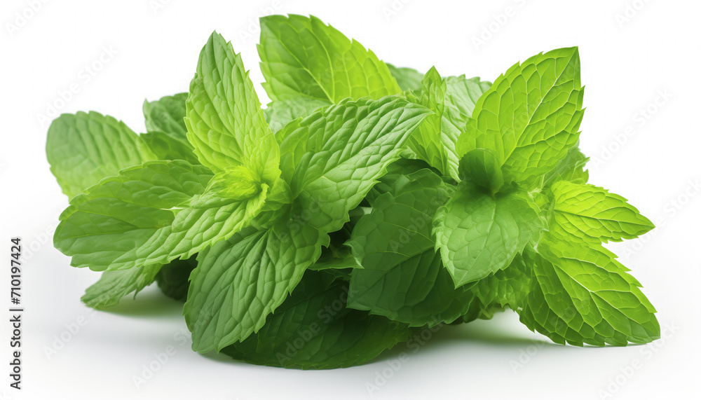 mint leaves on a white background mint leaves on a white background