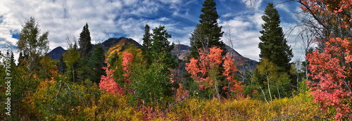 Quadro su tela Timpanogos back panoramic views, Willow Hollow Ridge, Pine Hollow Trail hiking trail Wasatch Rocky Mountains, Utah
