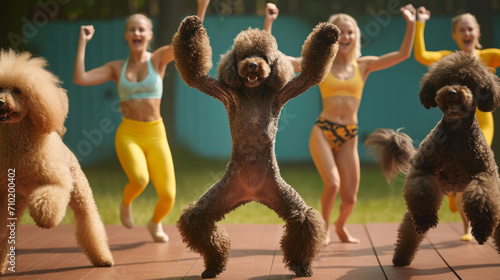 Disco Dogs: A Poodle Dance Party