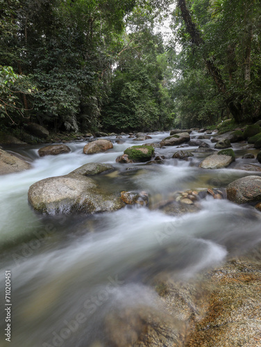 stream in the rain forest