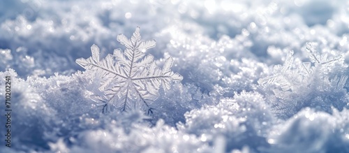 Large snowflakes in the snow. © AkuAku