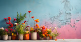 spring with flowers wall with colorful pots of multicolored flowers spring time