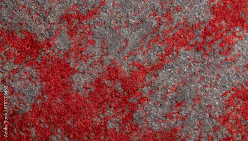 Red and grey Color Carpet Texture Top Wiev. 